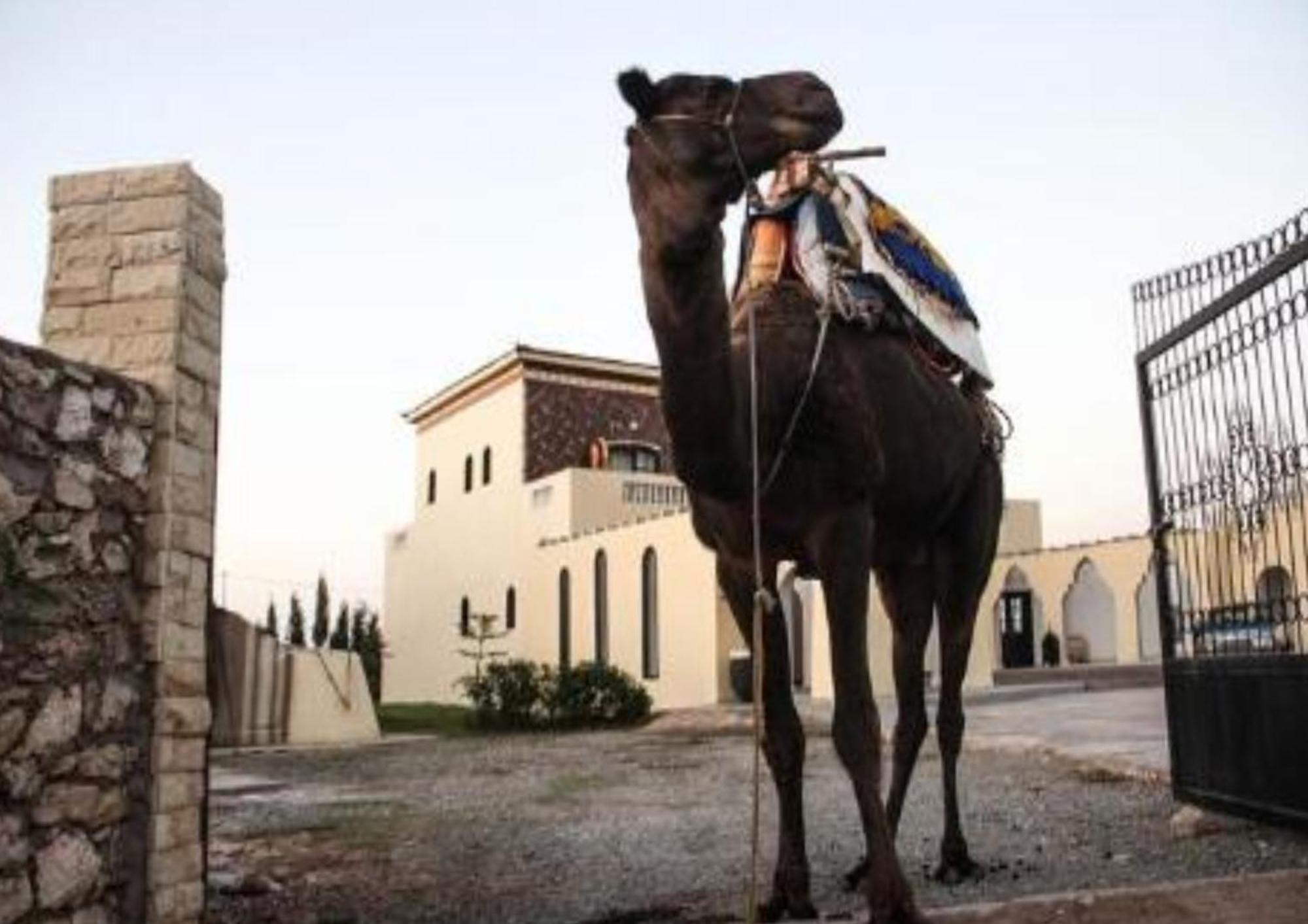 Sidi Kaouki Ayt Karoum Otel Dış mekan fotoğraf